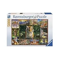 puzzle de 5000 pièces - tigre
