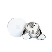 histoire d'ours - peluche lapin marius mm - boîte cadeau - blanche et grise - 30 cm - idée cadeau de naissance et anniversaire fille et garçon - ho2061