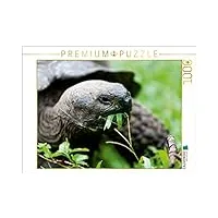 calvendo puzzle tortue géante sur l'île floreana des galápagos. 1000 pieces 64 x 48 cm from sabine reuke