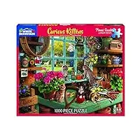 white mountain puzzles curious kittens - 1000 piece jigsaw puzzle