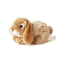 uni-toys - lapin bélier, couché (beige) - 18 cm (longueur) - lapin en peluche, lapin - peluche, doudou