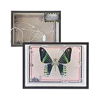 baufas kit de modèle de puzzle en métal papillon 3d, modèle d'insecte mécanique chrysiridia rhipheus avec cadre rechargeable, puzzle créatif style steampunk home decor (color : chrysiridia rhipheus)