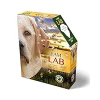 madd capp: i am lab – puzzle en forme de chien de 550 pièces, taille finie, 71 x 76 cm, avec livret d'information éducatif amusant, puzzle animal