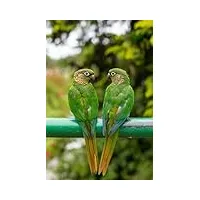 deux oiseaux verts sur la balustrade – puzzle en bois de 5000 pièces – jeu de défi, décoration murale pour la maison