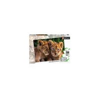 puzzle 250 p - adorables lionceaux rav686881