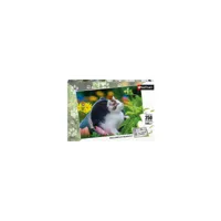 puzzle 250 pièces : petit chaton curieux fc-1-14744060