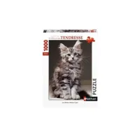 nathan - puzzle n 1000 p - le chaton maine coon fc-1-15850619