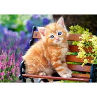 puzzle 500 piã¨ces : chaton roux dans les fleurs