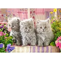 puzzle 300 piã¨ces : trois petits chatons gris