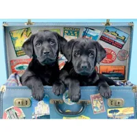 puzzle 500 piã¨ces : chiens en voyage
