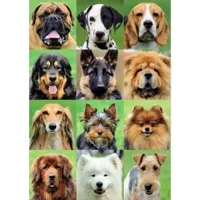 puzzle 500 piã¨ces : collage chiens