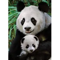 puzzle 1000 piã¨ces : la famille panda