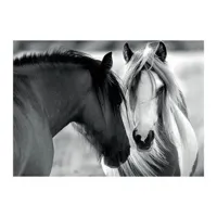 puzzle 1000 piã¨ces : chevaux en noir et blanc