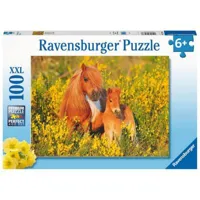 puzzle 100 piã¨ces xxl : poneys shetland