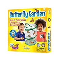 insectlore de buki - jeux educatifs - kit d' elevage de papillons