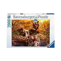 ravensburger - 16646 - puzzle - le bain des tigres - 2000 pièces