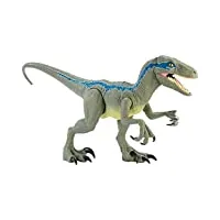 jurassic world grande figurine super colossal velociraptor blue avec pattes et mâchoire articulées, jouet pour enfant, gct93