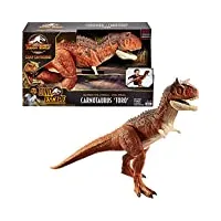 jurassic world : la colo du crétacé, grande figurine articulée dinosaure carnotaurus toro super colossal, 91 cm de long, jouet pour enfant, hby86