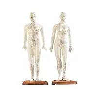temkin modèle d'acupuncture 45 cm 2 pièces figurines d'acupuncture homme femme marquages colorés méridiens et points d'acupuncture pour modèle médical d'anatomie
