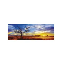 puzzle 1000 pièces panoramique mark gray : désert oak, australie