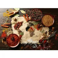 world map in spices