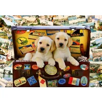 two travel puppies