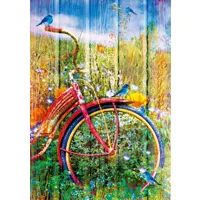 bluebirds on a bicycle