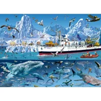 bluebird puzzle françois ruyer - arctic - bluebird boat