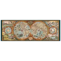 puzzle 6000 piã¨ces rajko zigic : hemisphere map