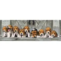 puzzle panoramique 1000 piã¨ces + poster : beagles