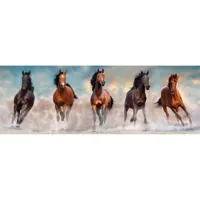 puzzle panoramique 1000 piã¨ces + poster : chevaux