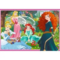 puzzles 2 x 12 piã¨ces : dans le monde des princesses