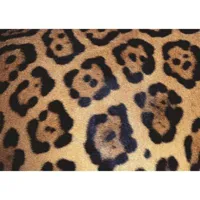 puzzle 1000 piã¨ces : challenge puzzle : le pelage du jaguar