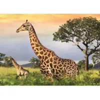 puzzle 1000 piã¨ces : famille girafe